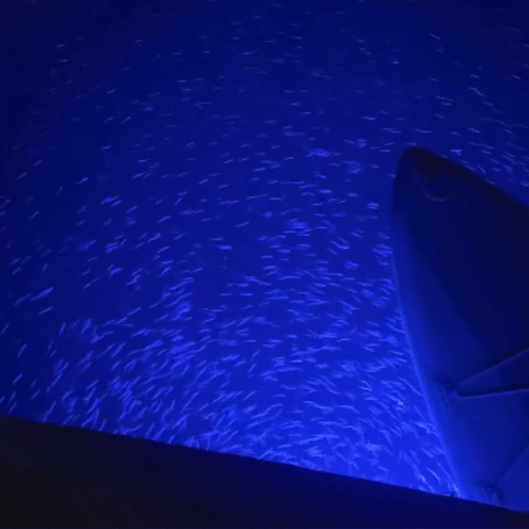 marinled-galeri-2025-06