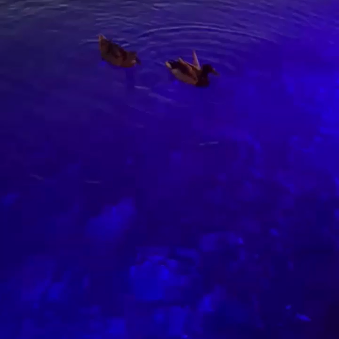 marinled-galeri-2025-08