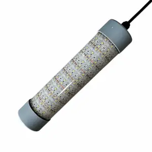 HP2 Su Altı Lambası